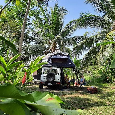 La Munequita Lodge 1 - Culture & Nature Experience Palmar Norte Екстер'єр фото