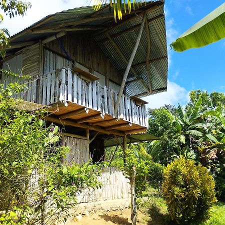 La Munequita Lodge 1 - Culture & Nature Experience Palmar Norte Екстер'єр фото