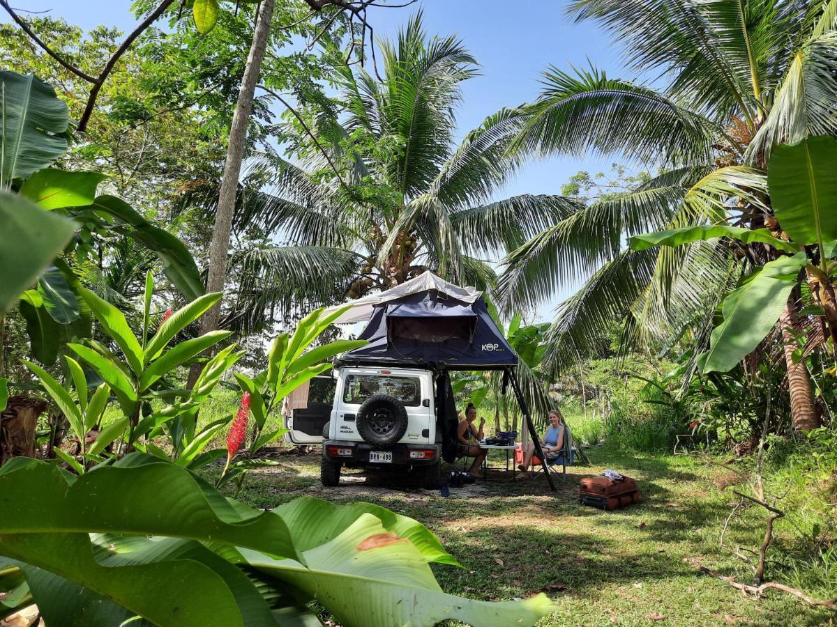 La Munequita Lodge 1 - Culture & Nature Experience Palmar Norte Екстер'єр фото