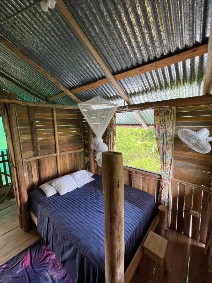La Munequita Lodge 1 - Culture & Nature Experience Palmar Norte Екстер'єр фото